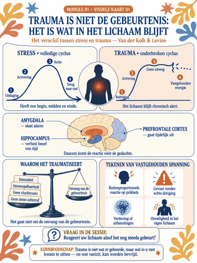 Karte 01 aus Modul 1, „Trauma is niet de gebeurtenis: het is wat in het lichaam blijft“, mit einem Vergleich von Stress- und Traumakurve